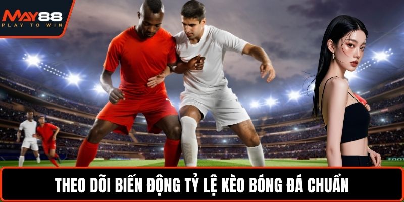 Theo dõi biến động tỷ lệ kèo bóng đá chuẩn